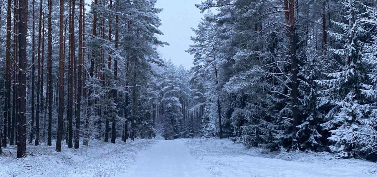 Szeroki Bor Oaza W Puszczy Z Sauna, Bania I Jacuzzi Экстерьер фото