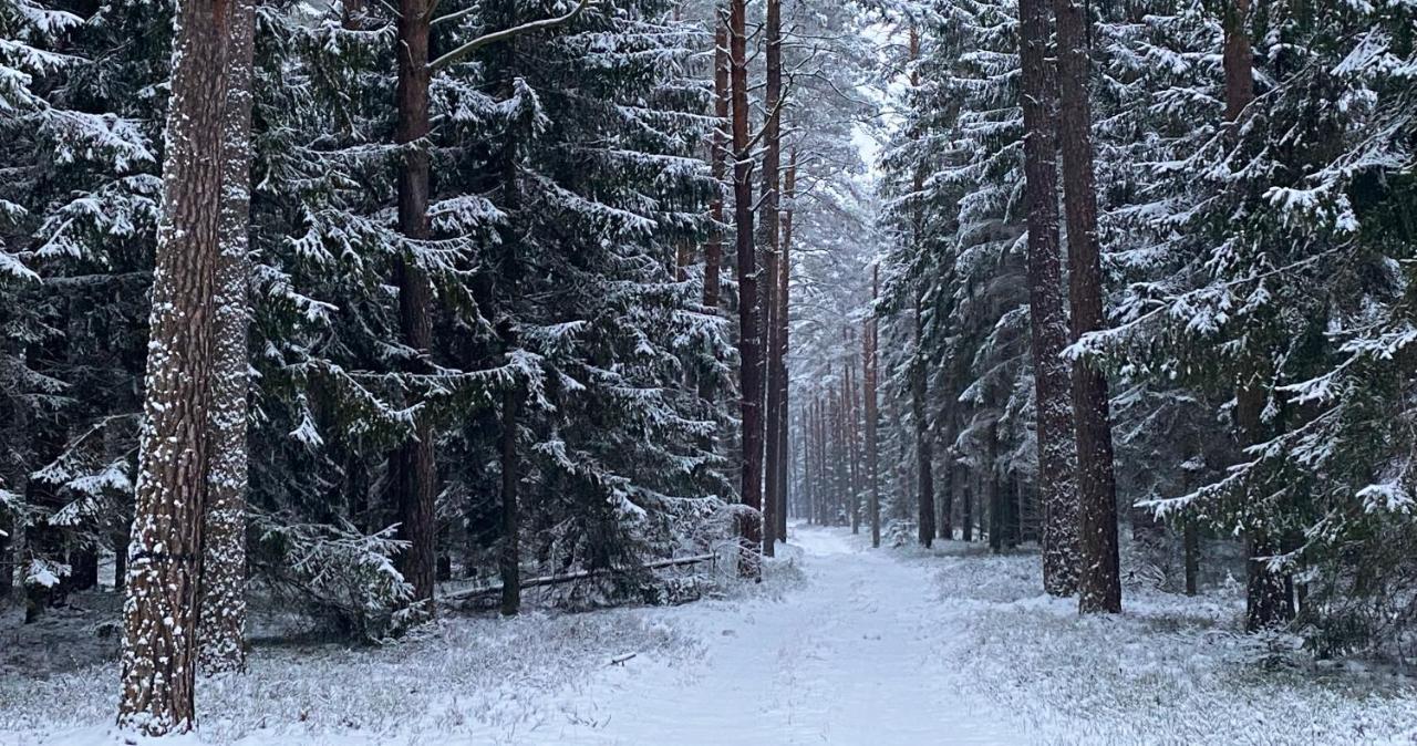 Szeroki Bor Oaza W Puszczy Z Sauna, Bania I Jacuzzi Экстерьер фото