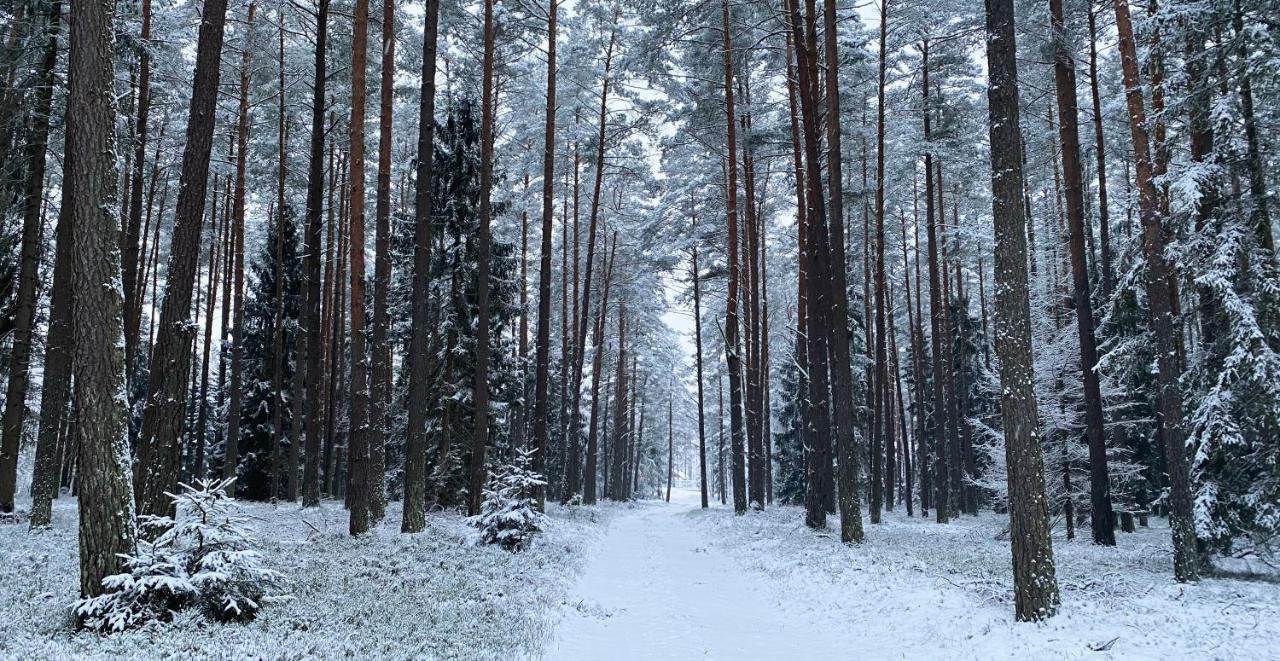 Szeroki Bor Oaza W Puszczy Z Sauna, Bania I Jacuzzi Экстерьер фото